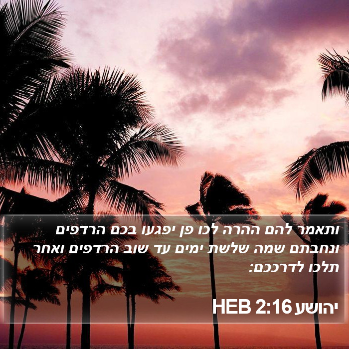 יהושע 2:16 HEB Bible Study