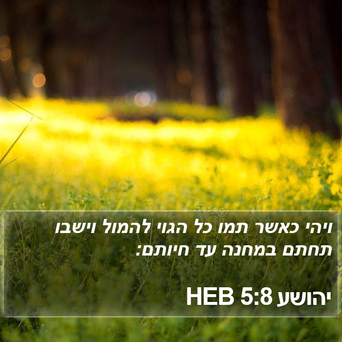 יהושע 5:8 HEB Bible Study