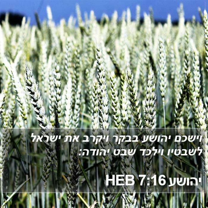 יהושע 7:16 HEB Bible Study