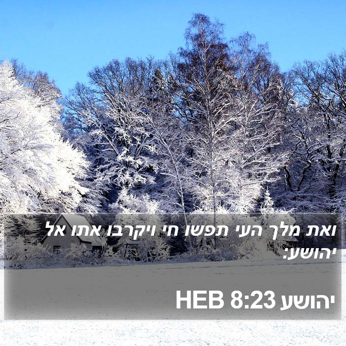 יהושע 8:23 HEB Bible Study