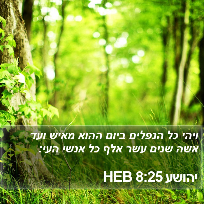 יהושע 8:25 HEB Bible Study