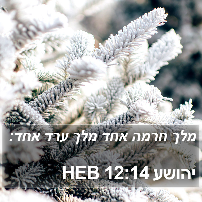 יהושע 12:14 HEB Bible Study