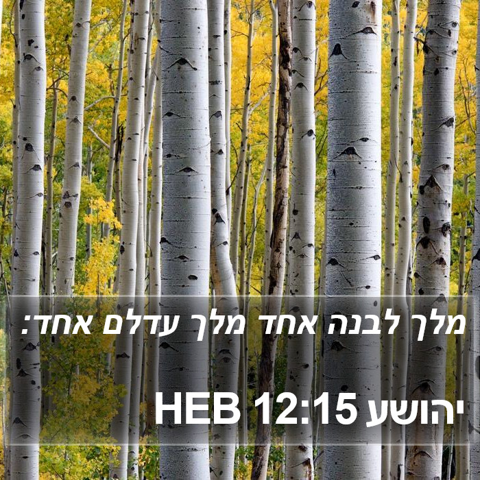 יהושע 12:15 HEB Bible Study