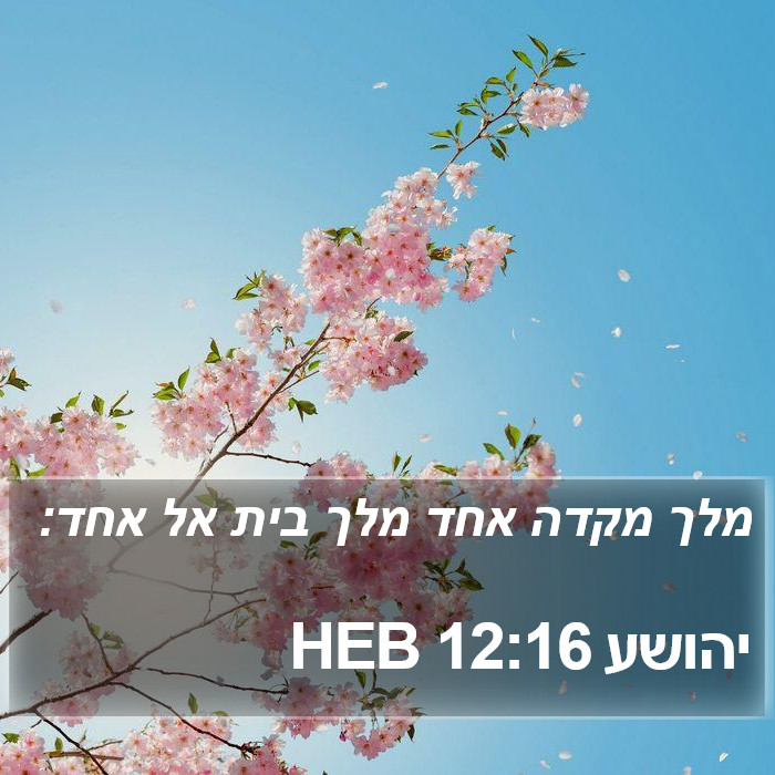 יהושע 12:16 HEB Bible Study