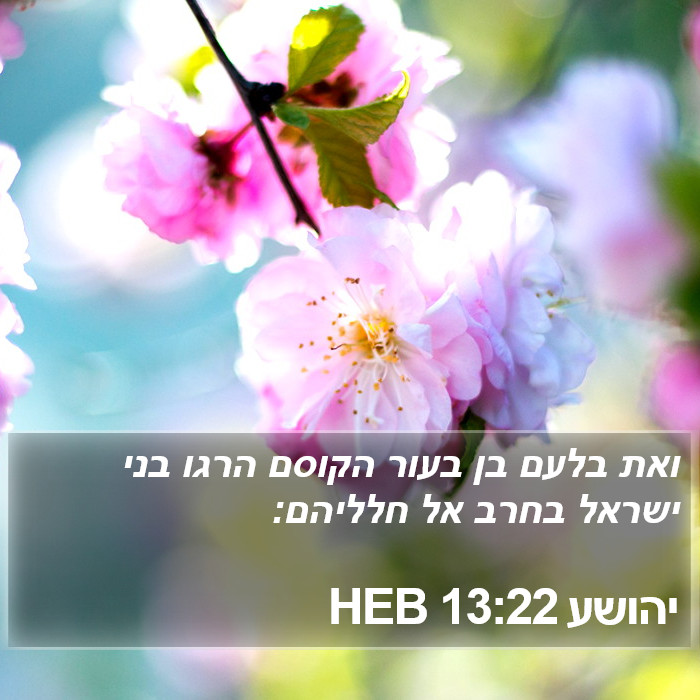 יהושע 13:22 HEB Bible Study