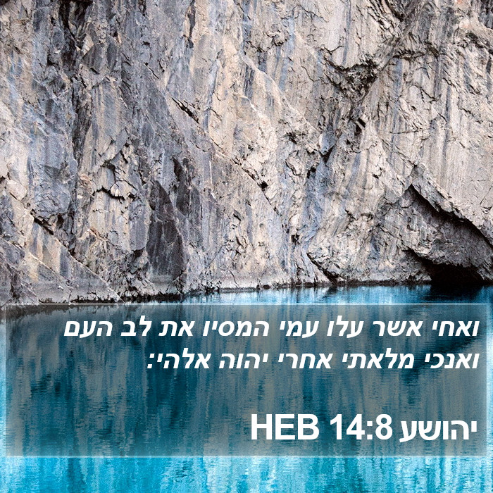 יהושע 14:8 HEB Bible Study