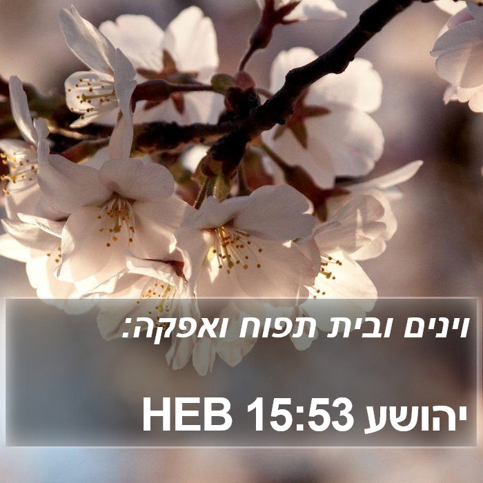 יהושע 15:53 HEB Bible Study