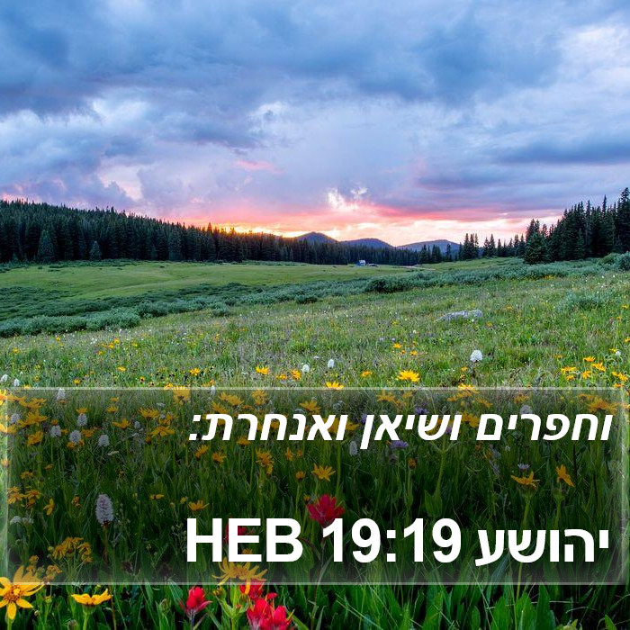 יהושע 19:19 HEB Bible Study