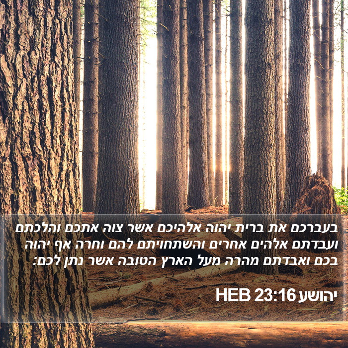 יהושע 23:16 HEB Bible Study