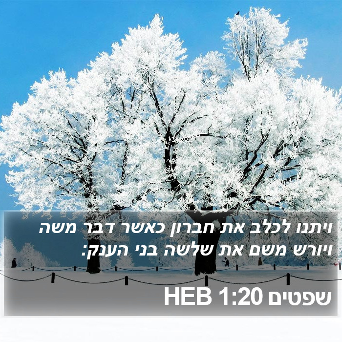 שפטים 1:20 HEB Bible Study