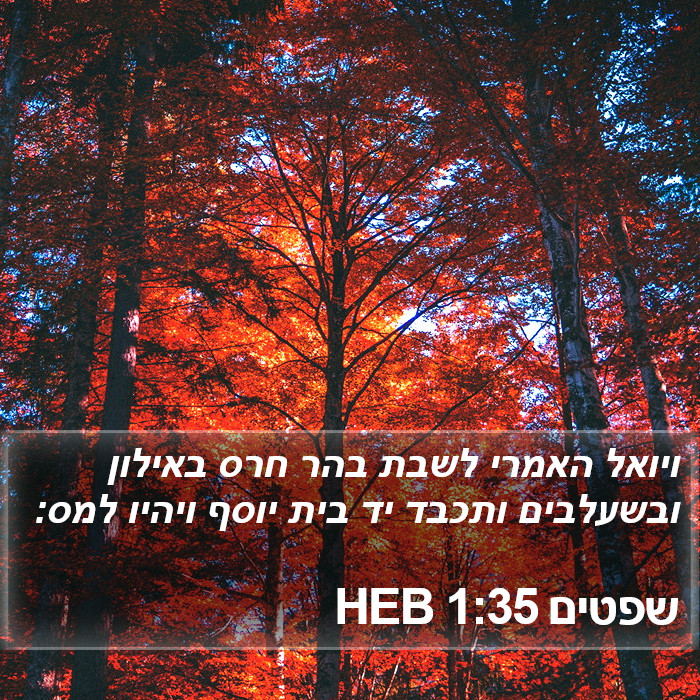 שפטים 1:35 HEB Bible Study