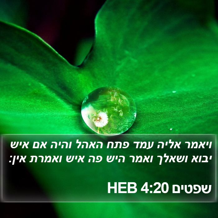 שפטים 4:20 HEB Bible Study