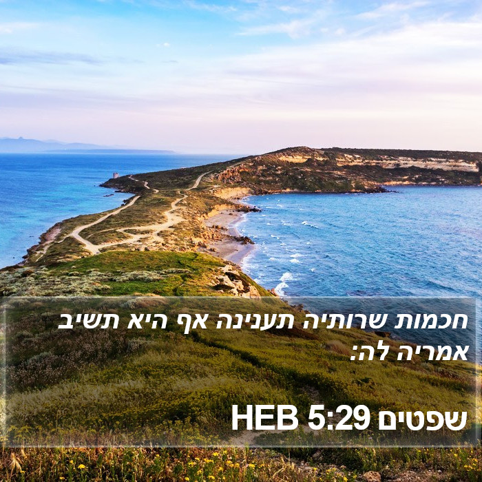 שפטים 5:29 HEB Bible Study