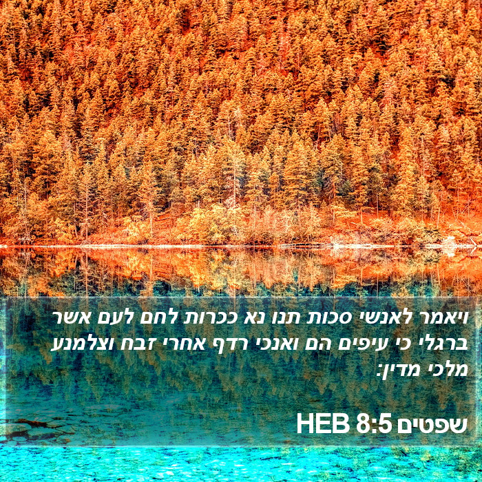 שפטים 8:5 HEB Bible Study