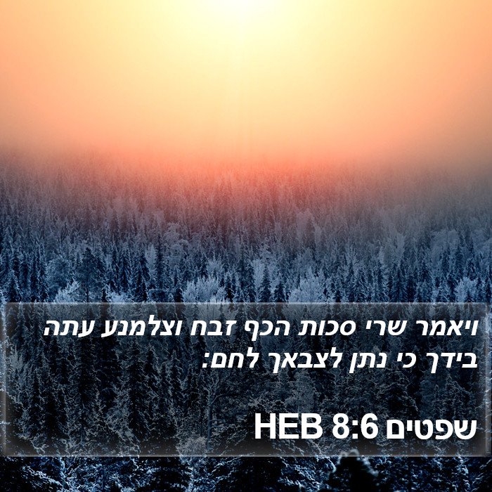 שפטים 8:6 HEB Bible Study