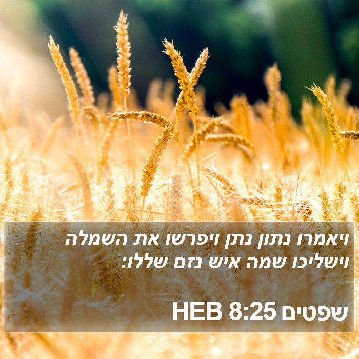 שפטים 8:25 HEB Bible Study