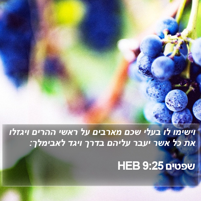 שפטים 9:25 HEB Bible Study