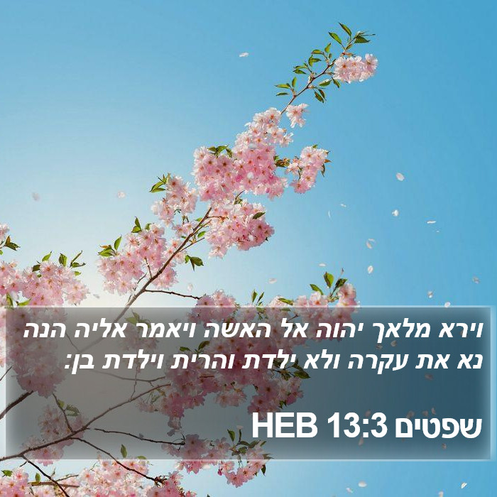 שפטים 13:3 HEB Bible Study