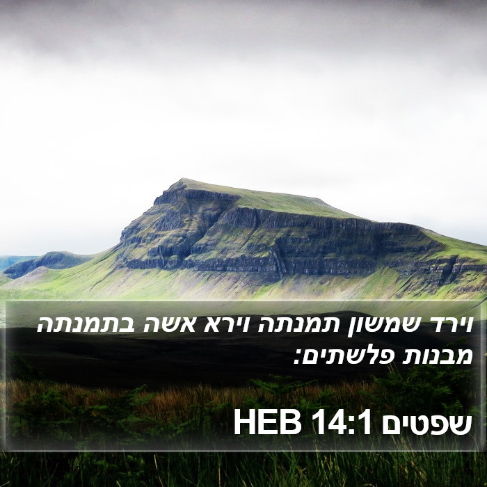 שפטים 14:1 HEB Bible Study