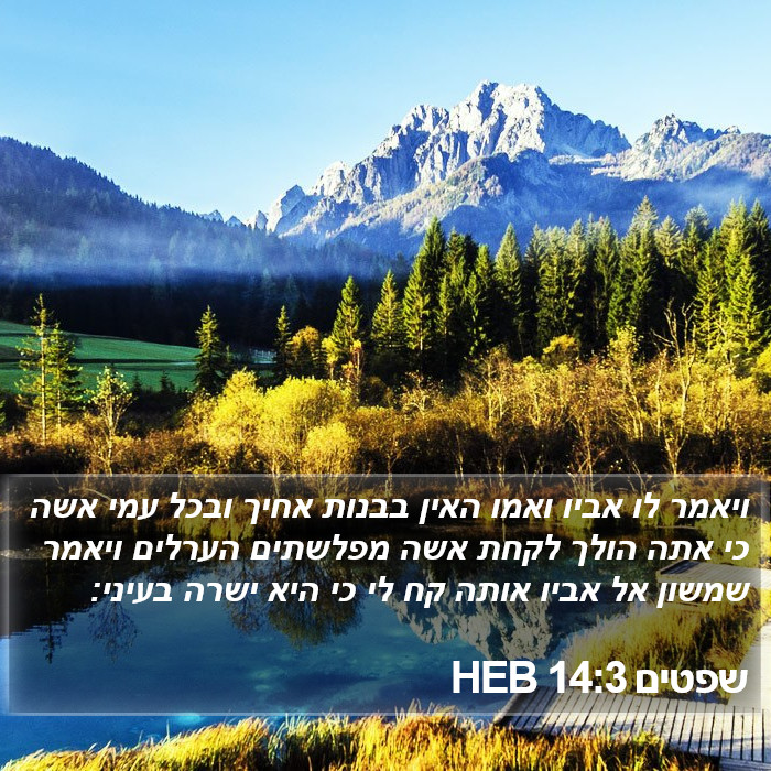 שפטים 14:3 HEB Bible Study