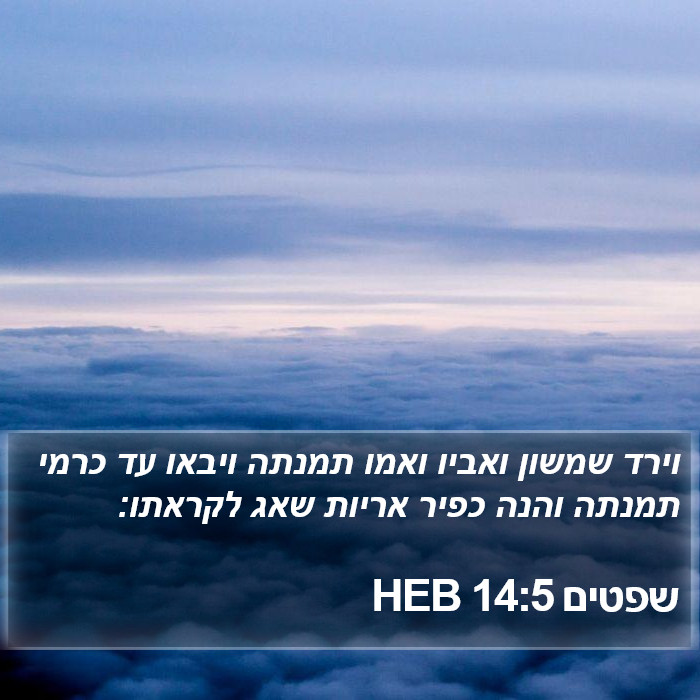 שפטים 14:5 HEB Bible Study