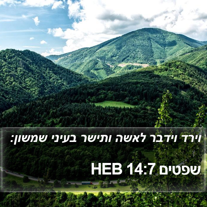 שפטים 14:7 HEB Bible Study