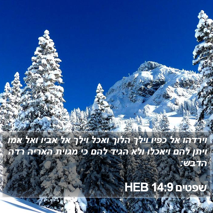 שפטים 14:9 HEB Bible Study