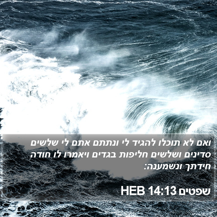 שפטים 14:13 HEB Bible Study