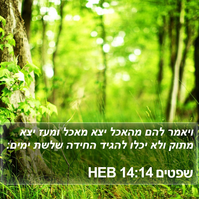 שפטים 14:14 HEB Bible Study