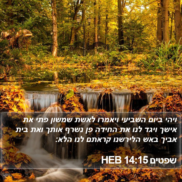 שפטים 14:15 HEB Bible Study