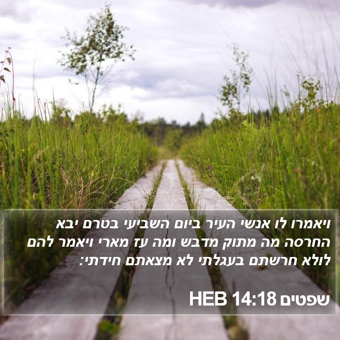 שפטים 14:18 HEB Bible Study