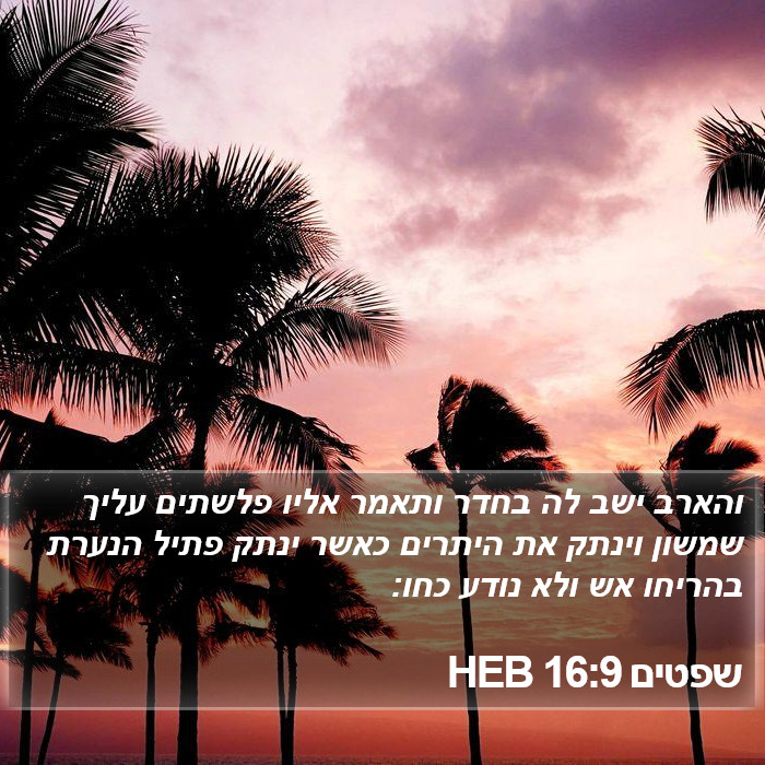 שפטים 16:9 HEB Bible Study