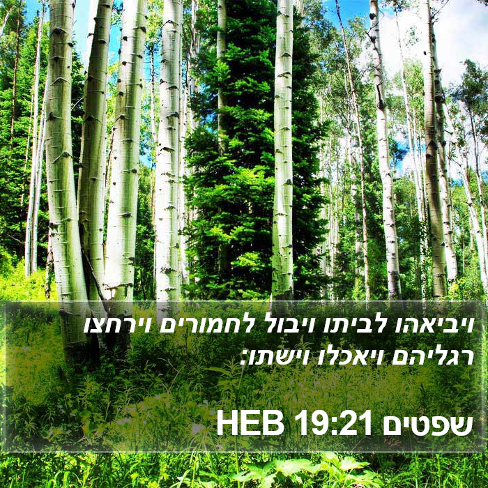 שפטים 19:21 HEB Bible Study