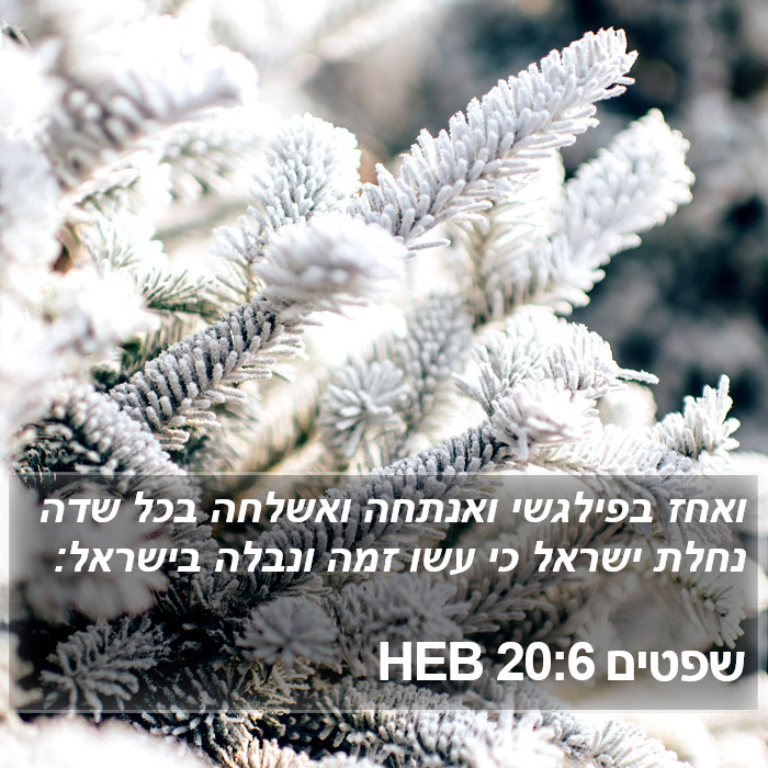 שפטים 20:6 HEB Bible Study