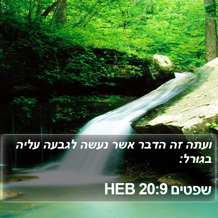 שפטים 20:9 HEB Bible Study