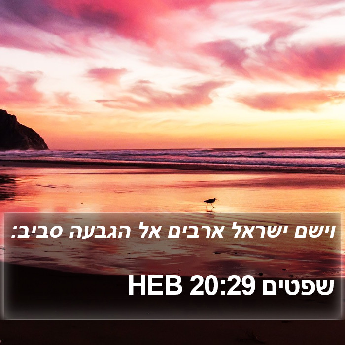 שפטים 20:29 HEB Bible Study