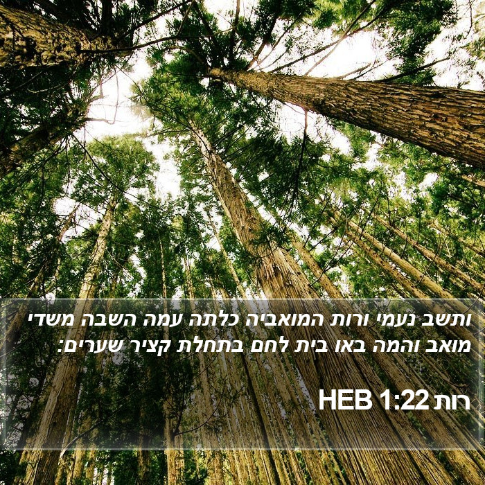 רות 1:22 HEB Bible Study