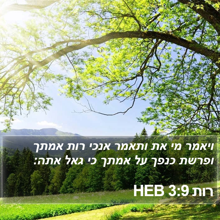 רות 3:9 HEB Bible Study