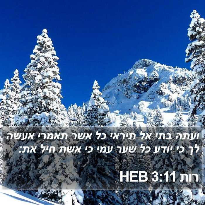 רות 3:11 HEB Bible Study