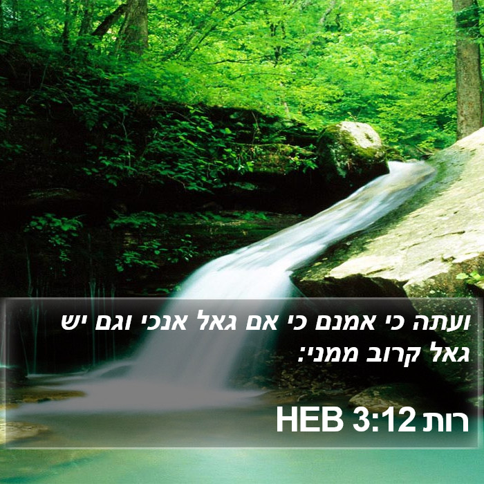 רות 3:12 HEB Bible Study