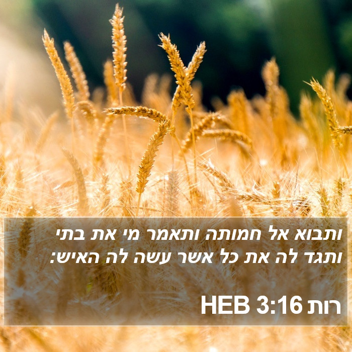 רות 3:16 HEB Bible Study