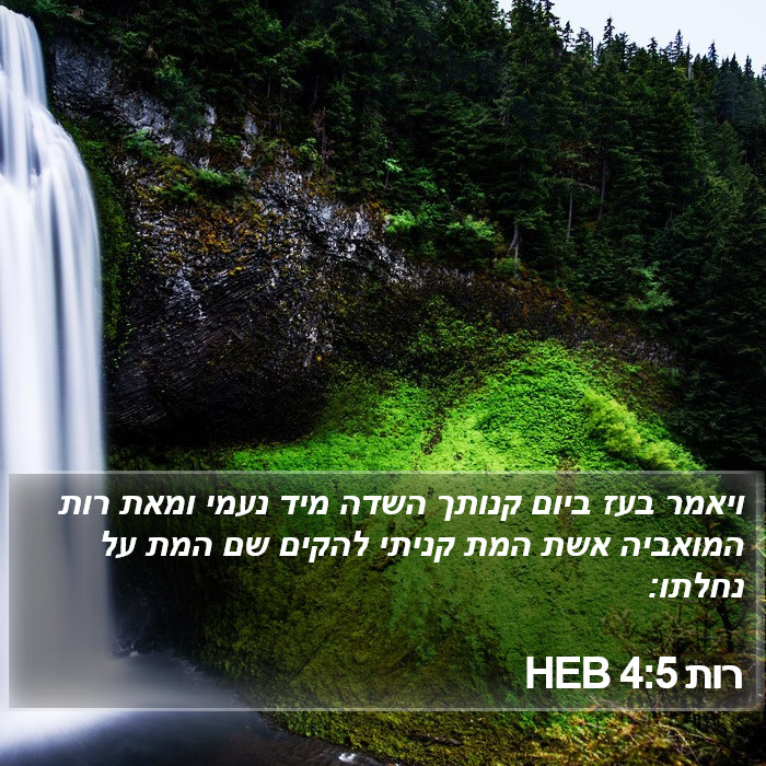 רות 4:5 HEB Bible Study