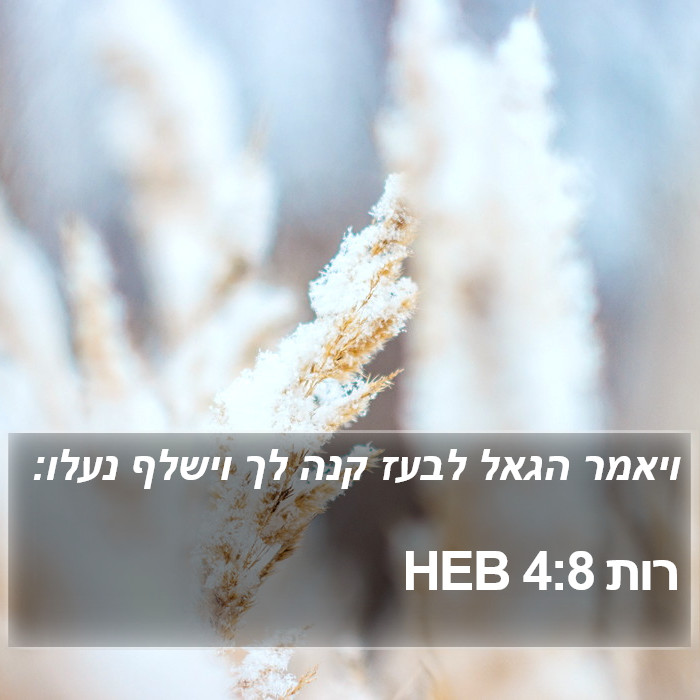 רות 4:8 HEB Bible Study