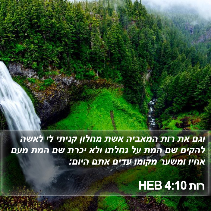 רות 4:10 HEB Bible Study