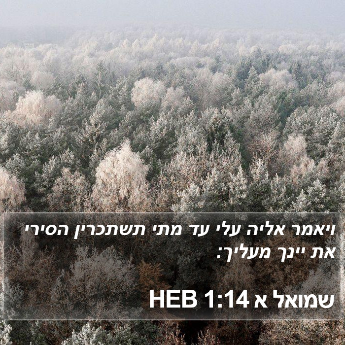 שמואל א 1:14 HEB Bible Study