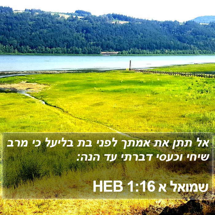 שמואל א 1:16 HEB Bible Study