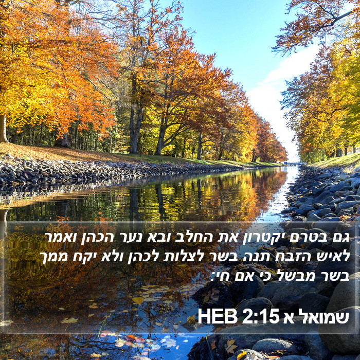 שמואל א 2:15 HEB Bible Study