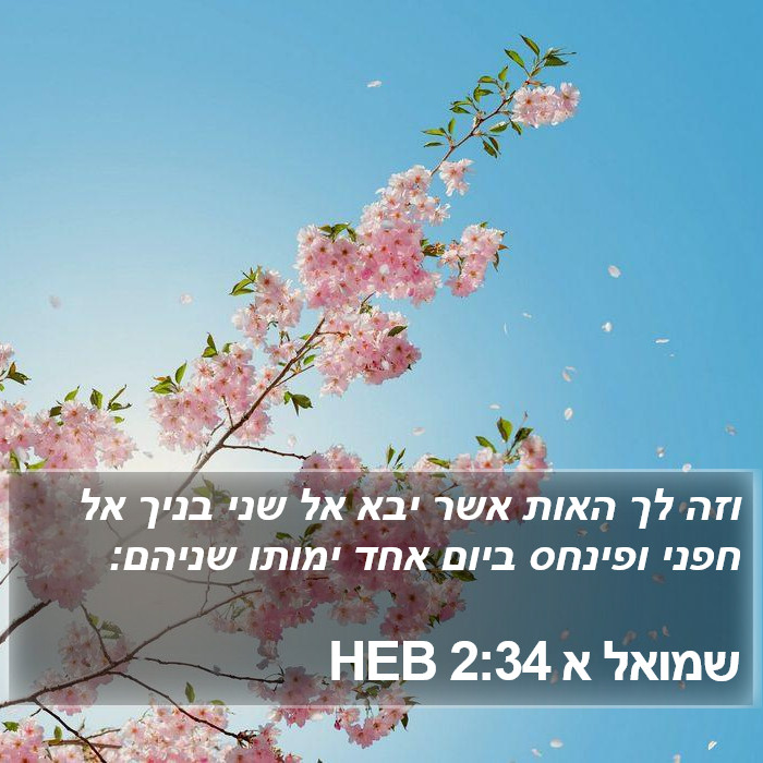 שמואל א 2:34 HEB Bible Study