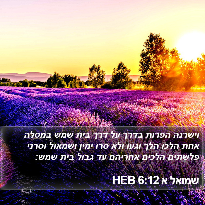 שמואל א 6:12 HEB Bible Study