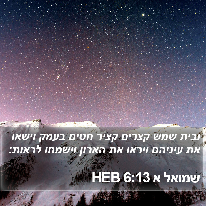 שמואל א 6:13 HEB Bible Study